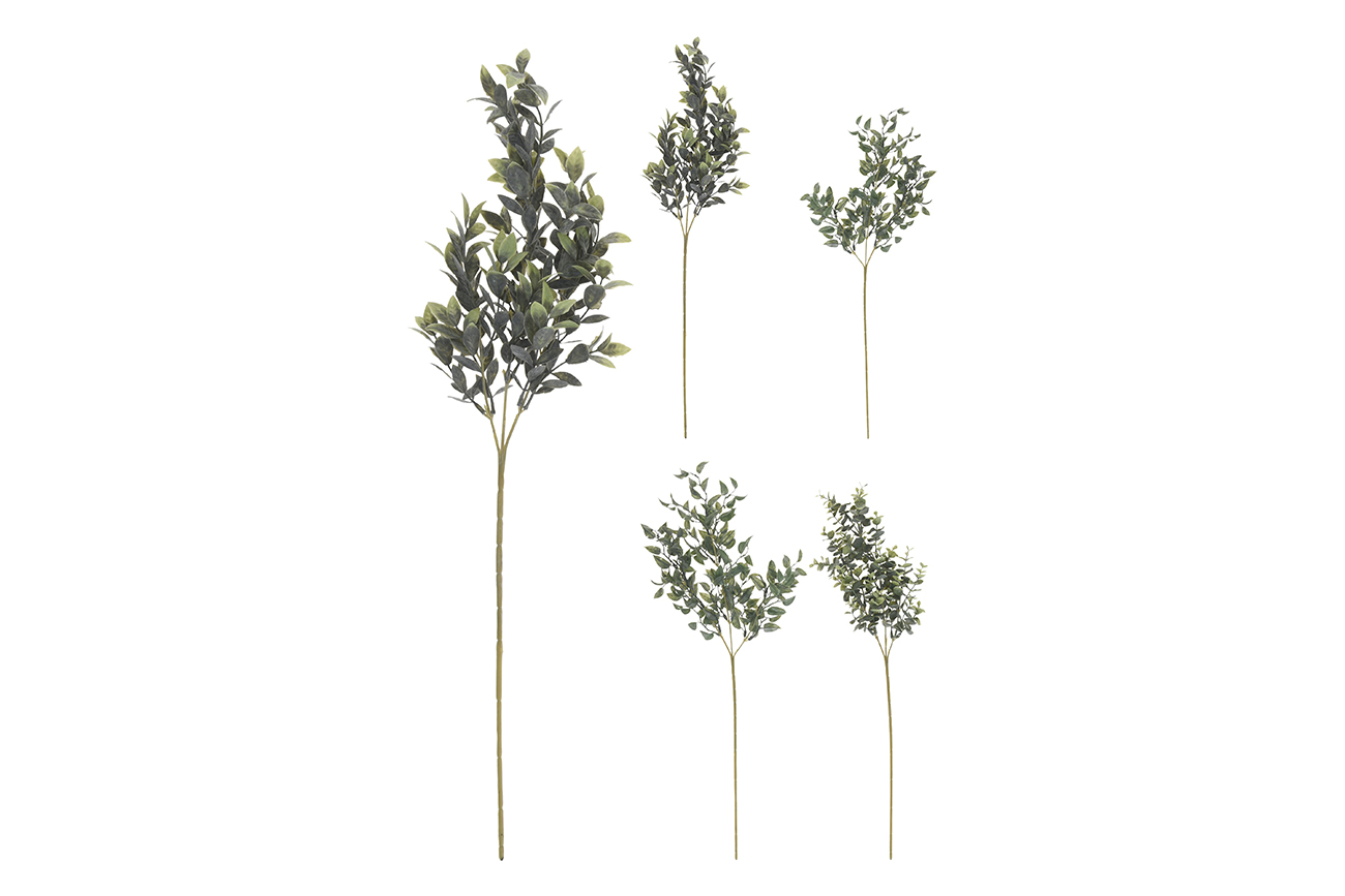 Веточка с листьями